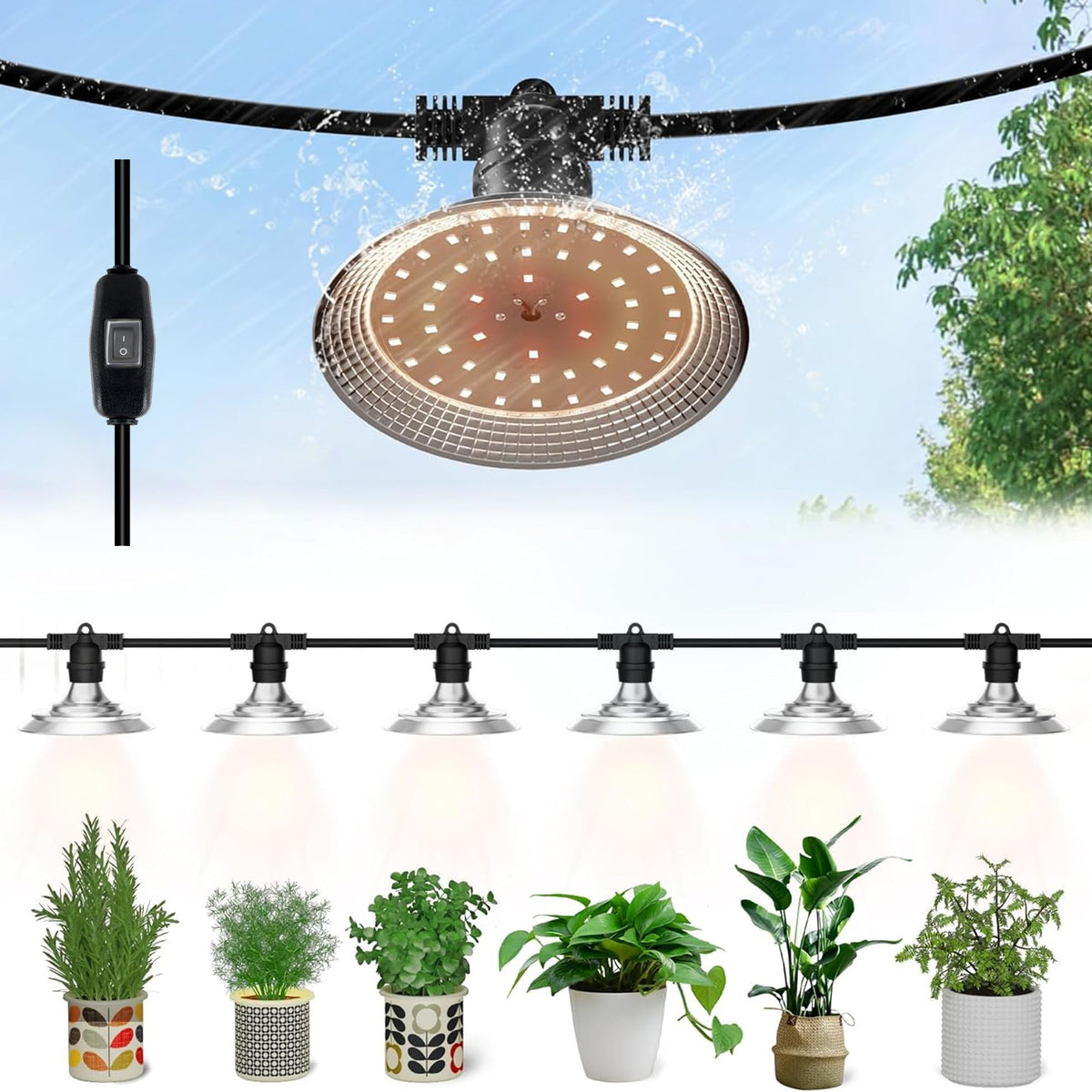 Danshinro front packaging showing the full 6-light string and benefits