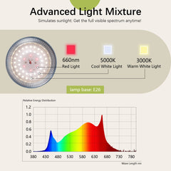 Danshinro close-up of LEDs showing high-efficiency diodes benefit