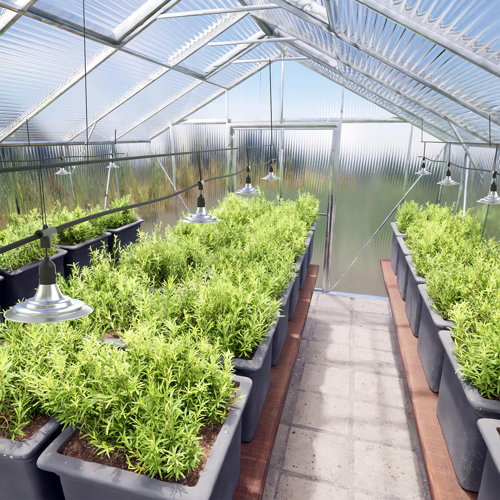 Danshinro on a patio with plants showing versatile outdoor and indoor use benefit