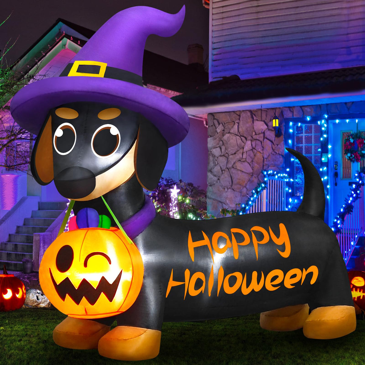 Danxilu dachshund front view showing friendly Halloween display and curb appeal