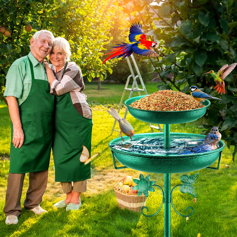 Daoeny bird bath placed among flowers showing attractive outdoor focal point