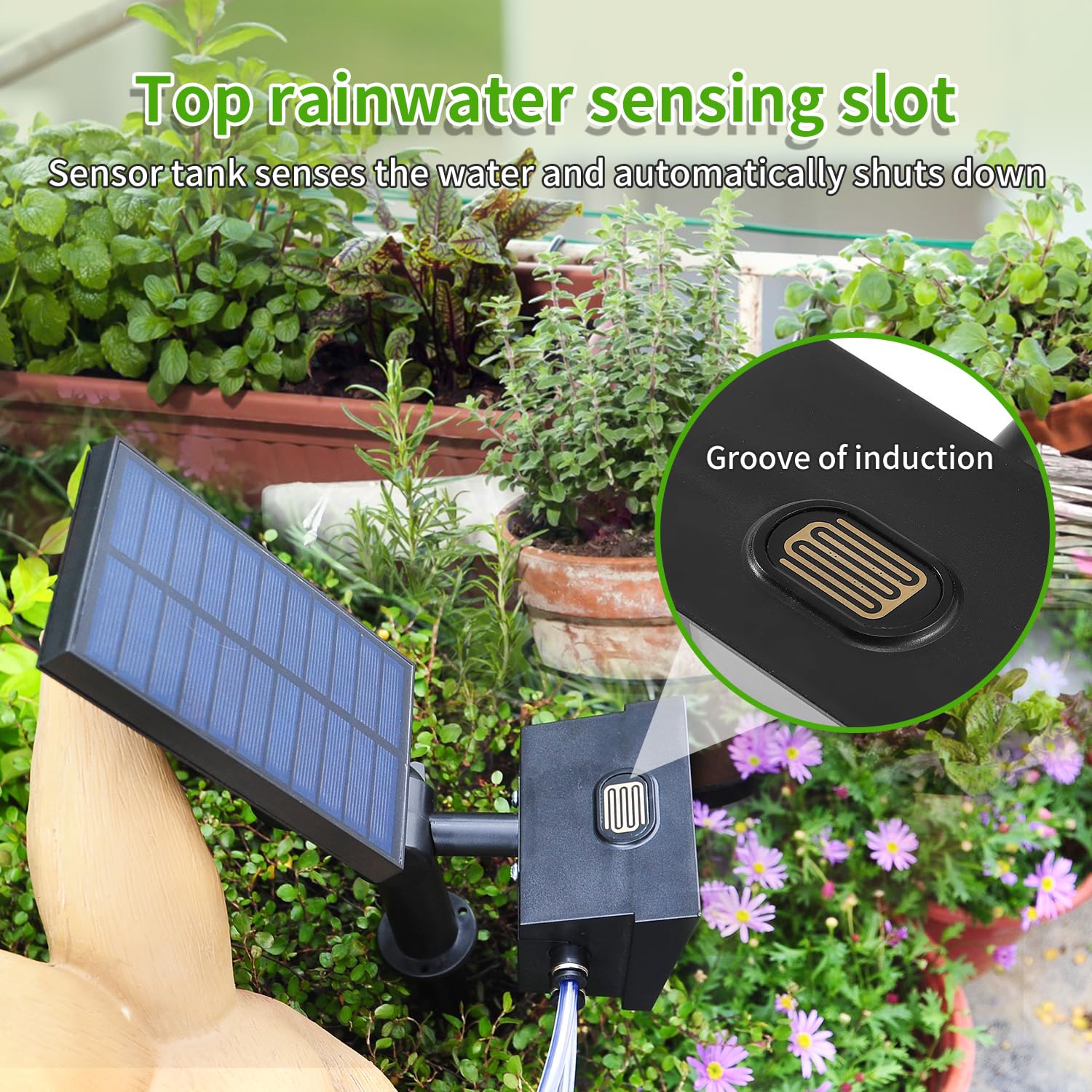 DAOTAILI tubing routed between pots saving water with targeted irrigation