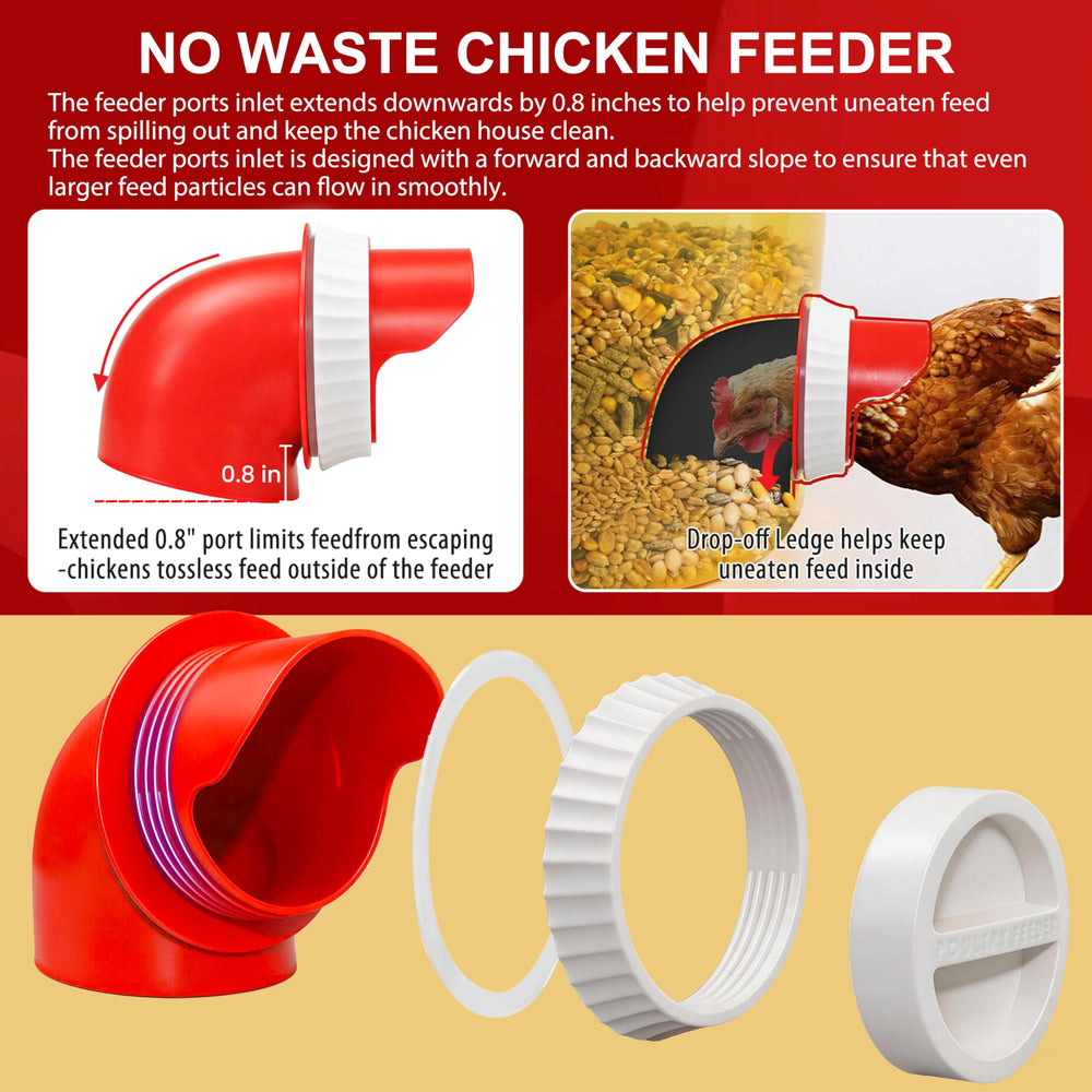 Darnefen feeder in a chicken coop with hens using ports benefits tidy, accessible feeding