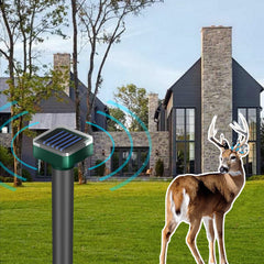 DARUCOT solar panel close-up capturing efficient sun charging for eco power
