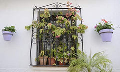 Darware close-up terracotta pot showing natural texture and breathable benefit for roots