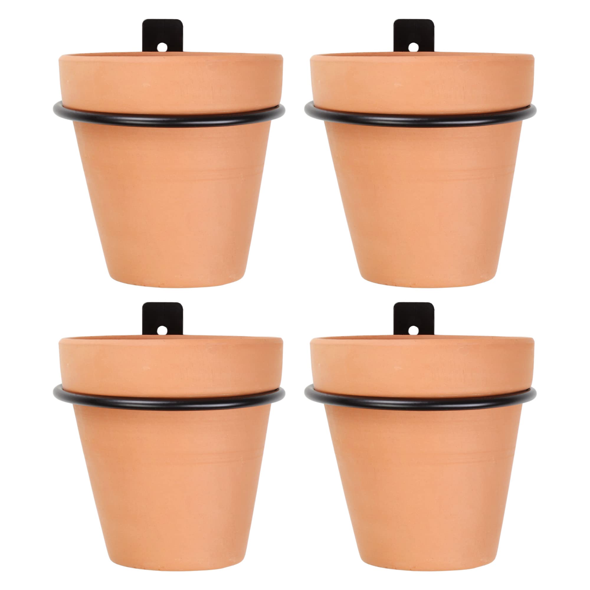 Darware front view of metal ring planters showing compact wall-mounted display and curb appeal