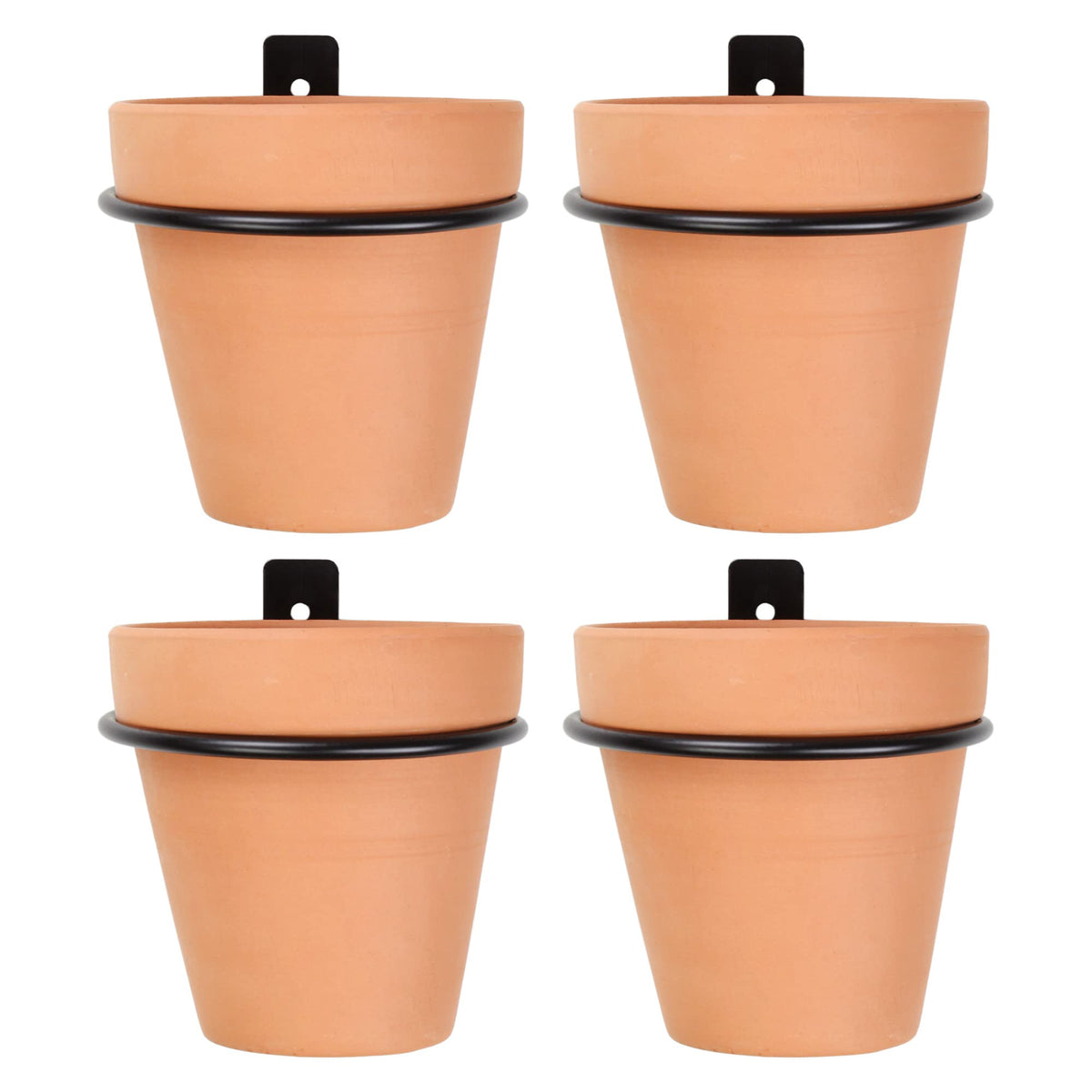 Darware front view of metal ring planters showing compact wall-mounted display and curb appeal