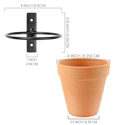Darware planters on a kitchen window sill illustrating easy herb access and aesthetic boost