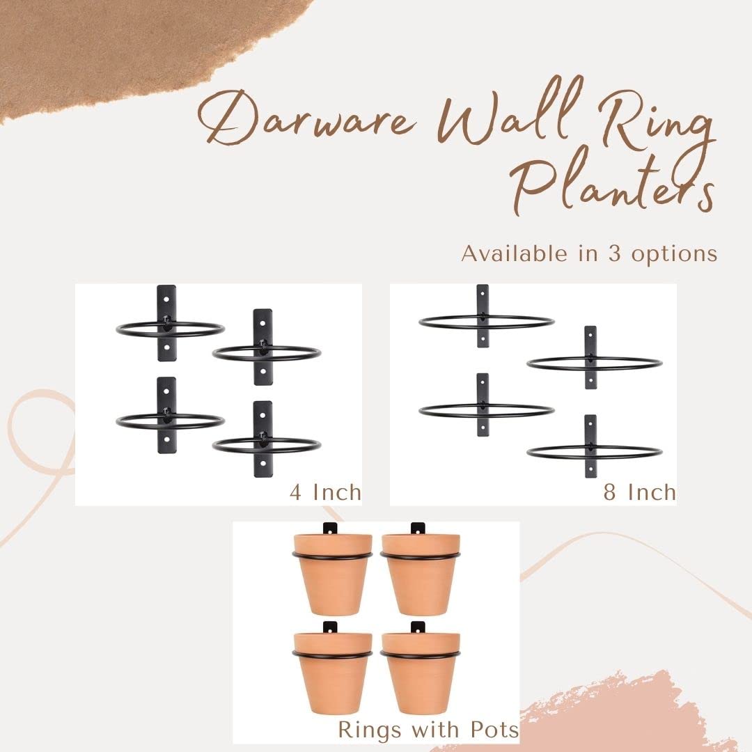 Darware grouped planters forming a living wall arrangement providing vertical garden impact