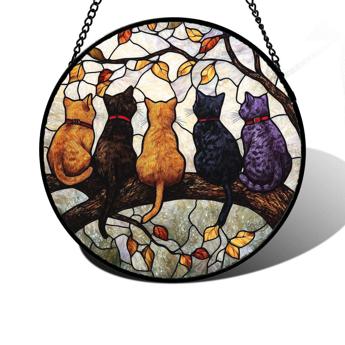 DASTOLL front view showing five cats design brightening window