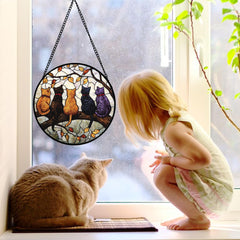 DASTOLL hanging in sunlit window casting colorful light patterns