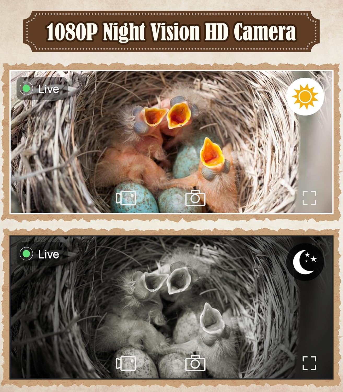 Daulpell camera lens close-up highlighting 1080p sensor for clear nesting footage