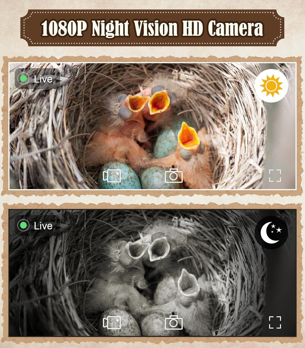 Daulpell camera lens close-up highlighting 1080p sensor for clear nesting footage