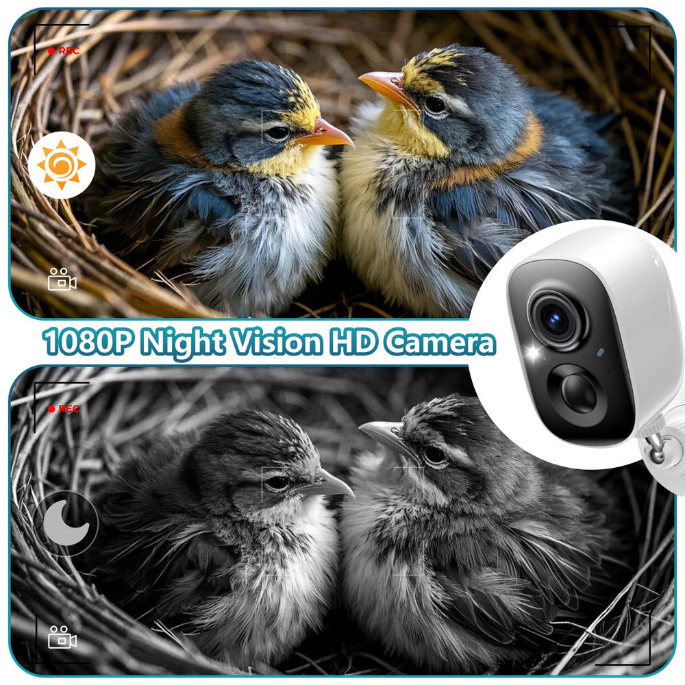 Daulpell waterproof coating close up highlighting weather protection and outdoor resilience