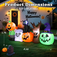 Dawdix close-up of pumpkin face detail showcasing vibrant durable printing