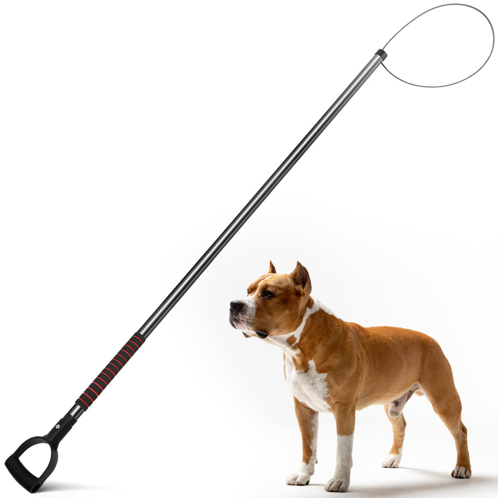 Dayimado full-length pole extended showing reach and safer distance handling