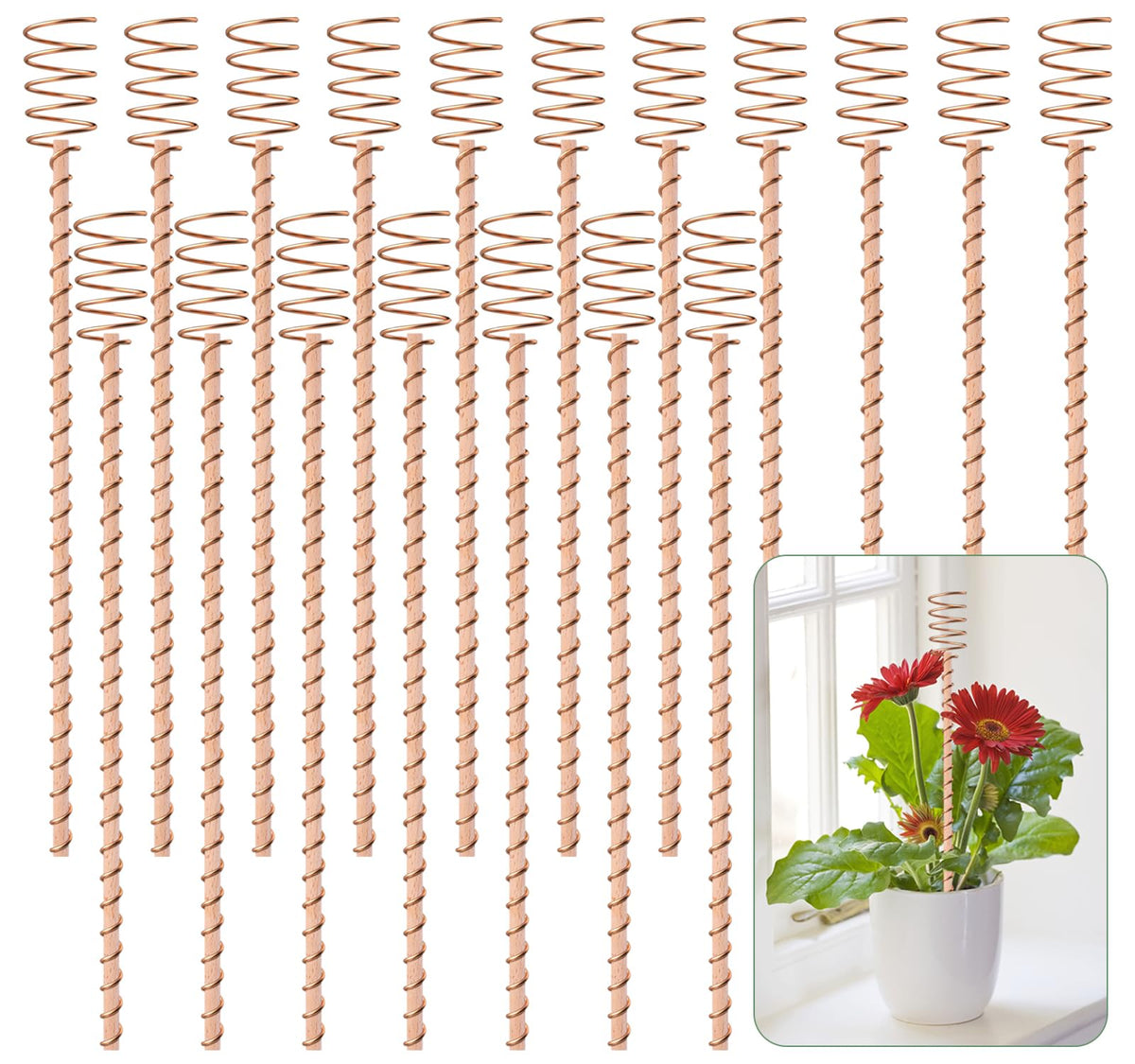 Dayimado front view of 18-pack stakes showing packaging and quantity benefit