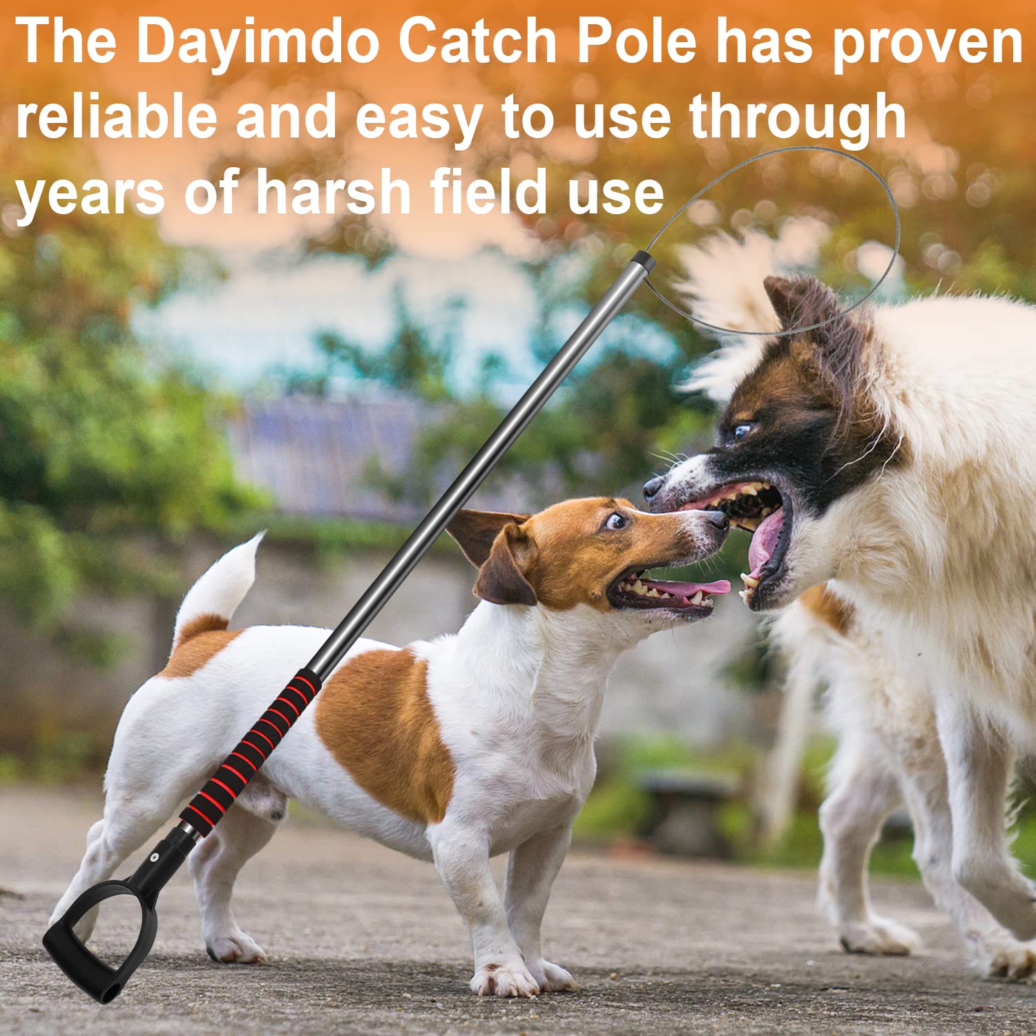 Dayimado beside a ruler showing scale and lightweight 2.4 lbs advantage