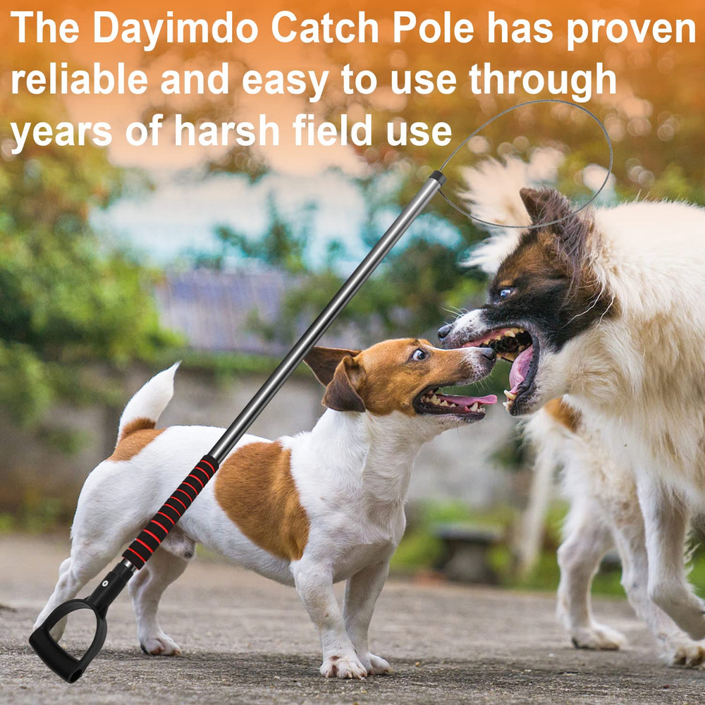 Dayimado beside a ruler showing scale and lightweight 2.4 lbs advantage