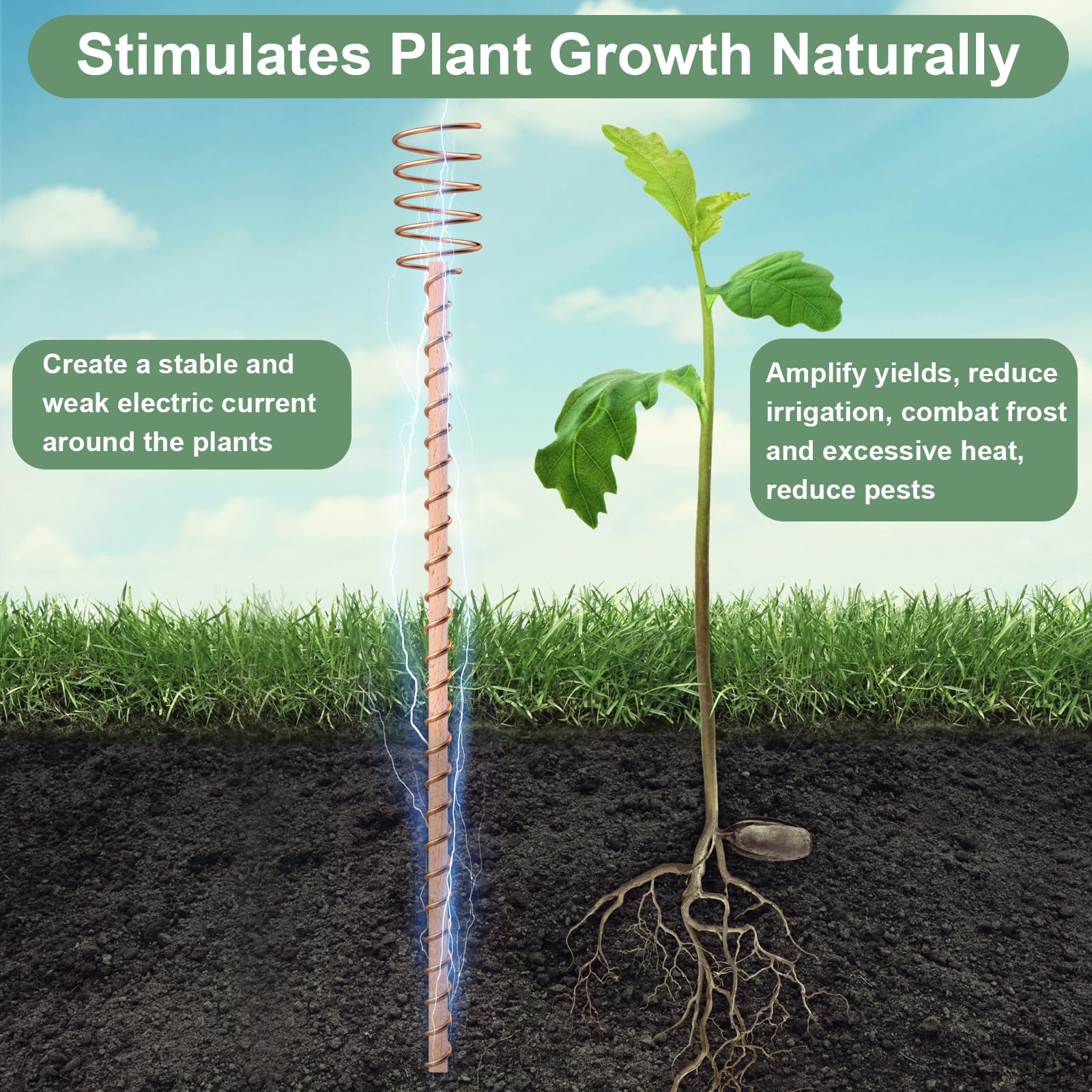 Dayimado wooden core detail showing natural backbone for easy soil insertion