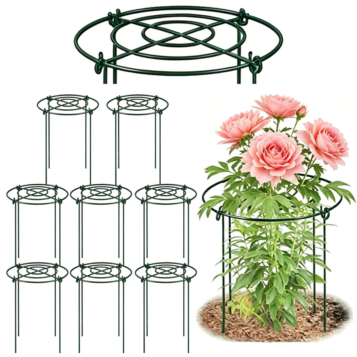 DAYUMKOU front packaging showing eight green peony cages and benefits