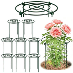 DAYUMKOU front packaging showing eight green peony cages and benefits