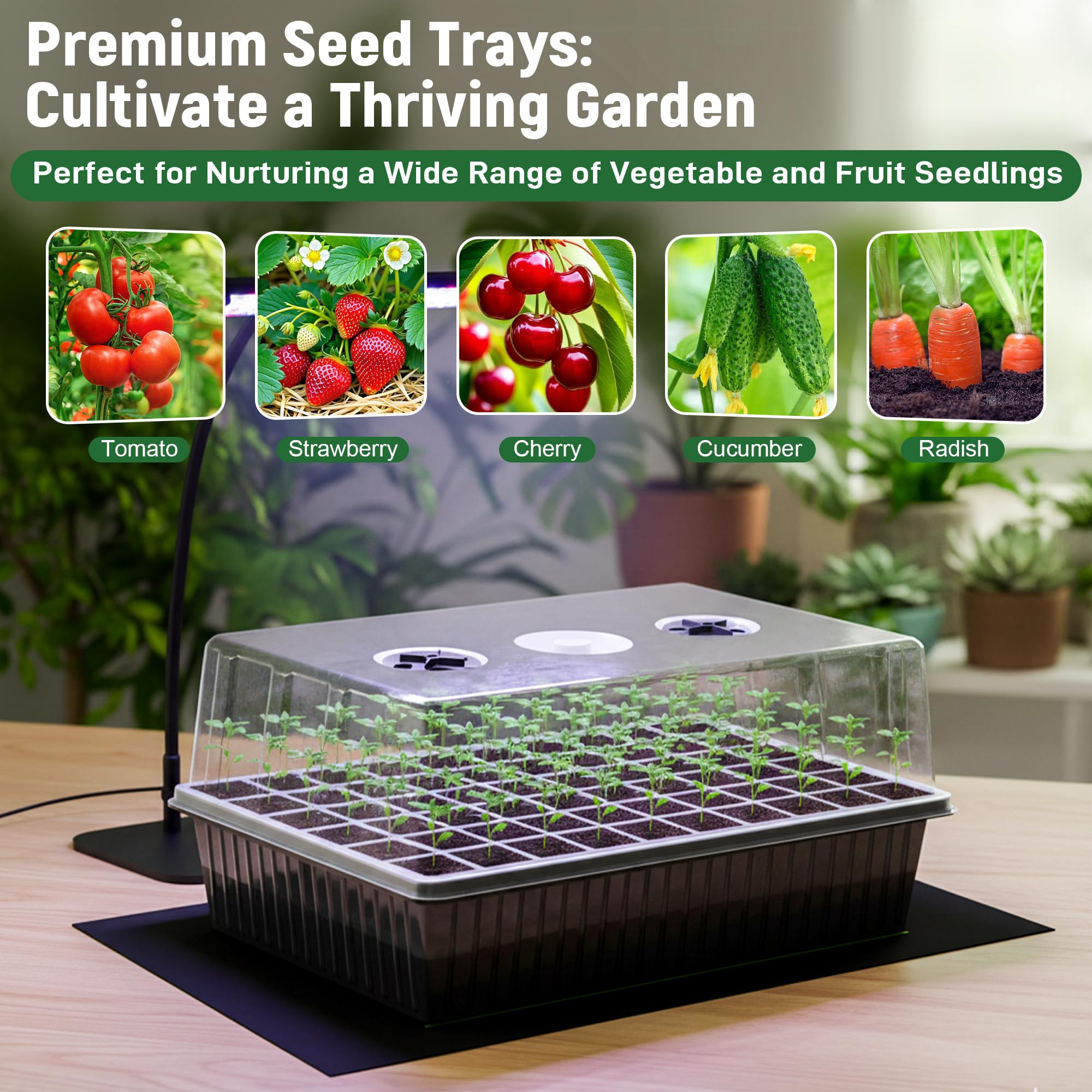 DazSpirit tray with hand for scale showing dimensions and benefit of compact footprint