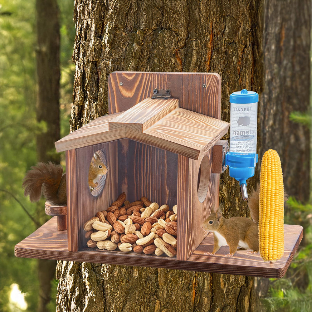 DAZUINIAO feeder in use with squirrel feeding showing natural attraction and educational backyard benefit
