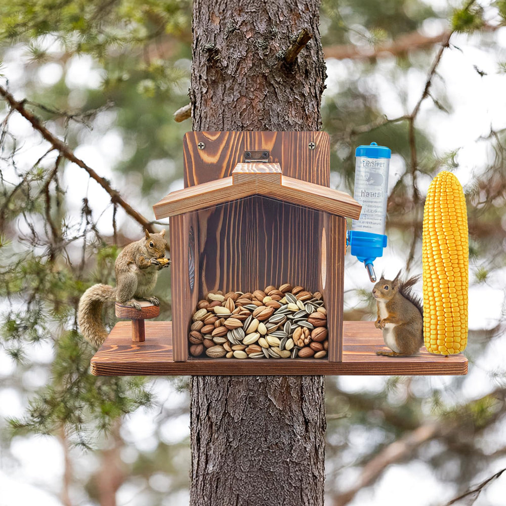 DAZUINIAO feeder pictured with included screwdriver and screws illustrating simple assembly