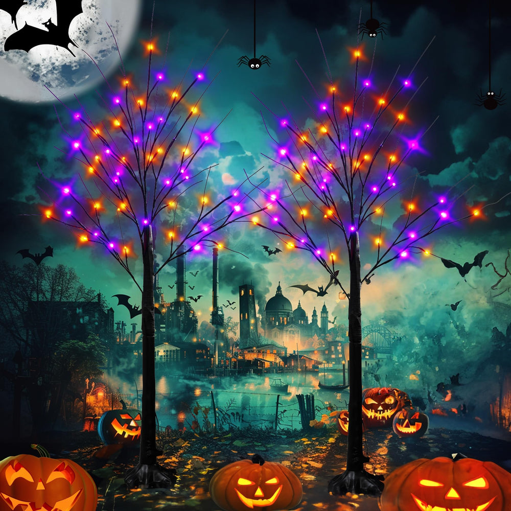 Dazzle Bright birch trees front view showing purple orange glow benefit eye-catching decor
