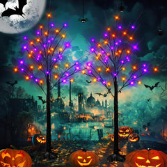 Dazzle Bright birch trees front view showing purple orange glow benefit eye-catching decor