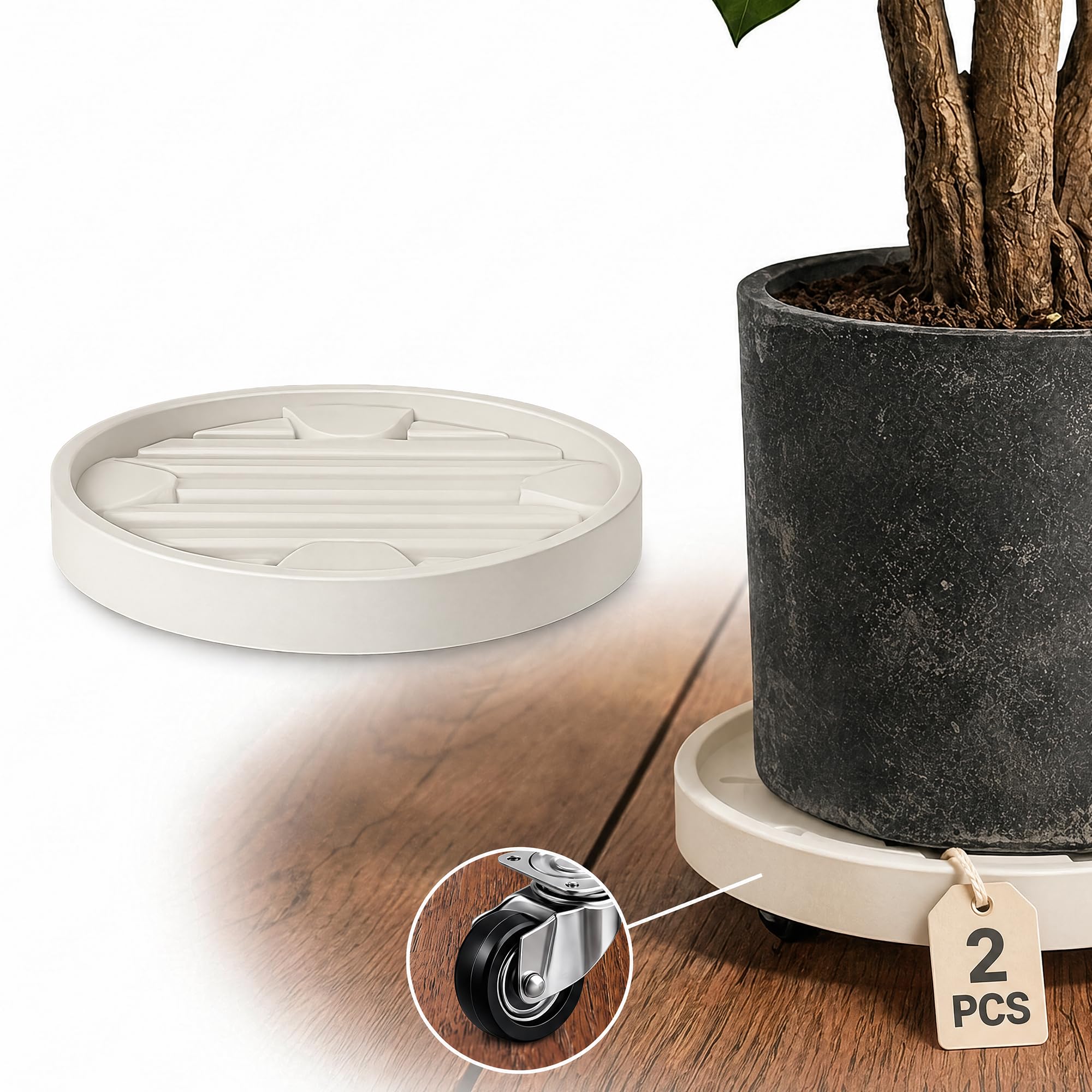 Dcpes front view plant caddy showing stable rim and low profile for neat display