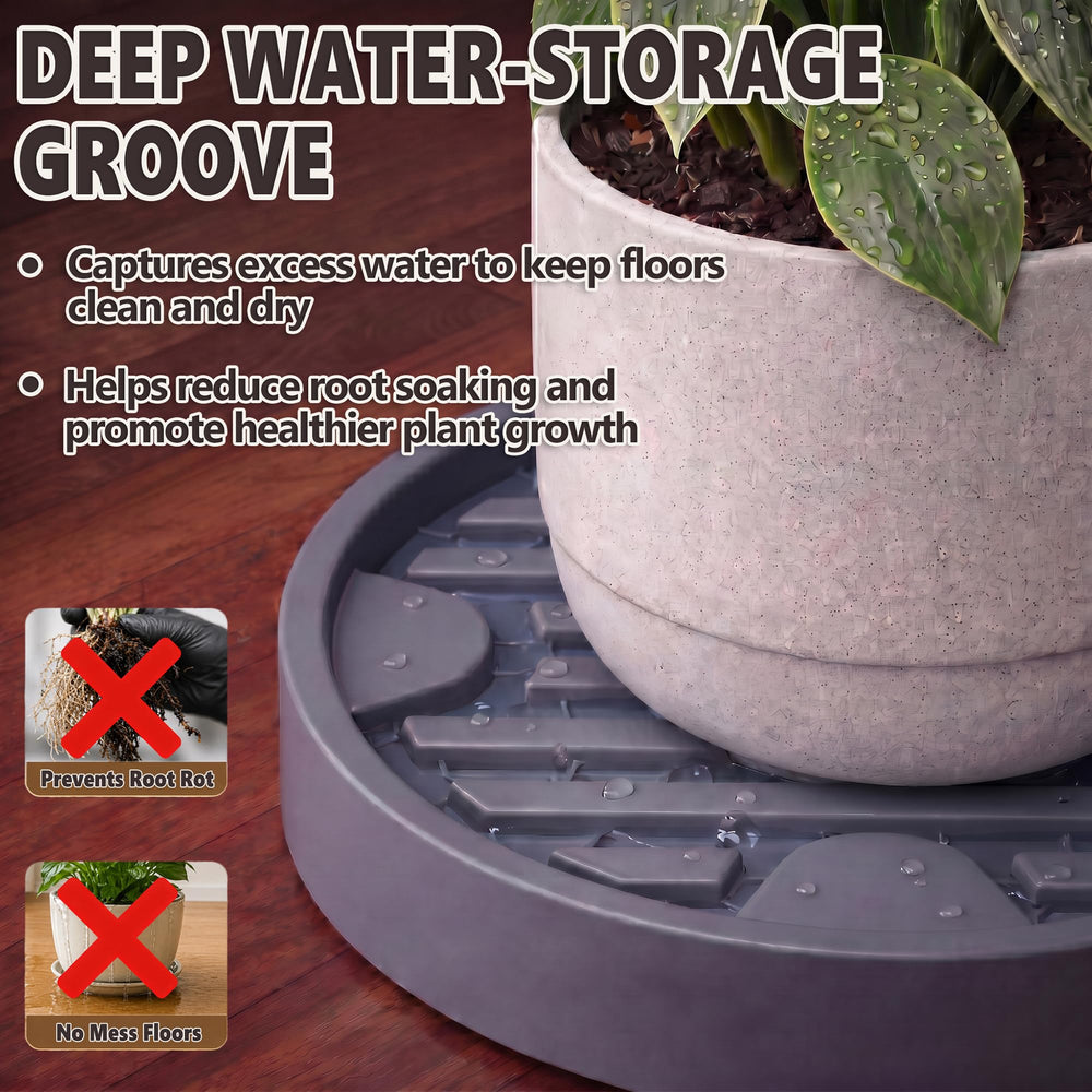 Dcpes plant placed on caddy on patio for easy repositioning and sunlight