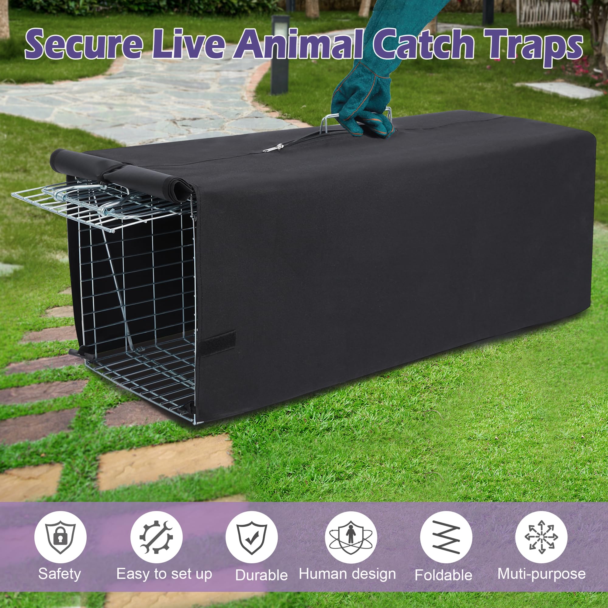 Deblue trap placed in garden setting, showing practical field use and placement