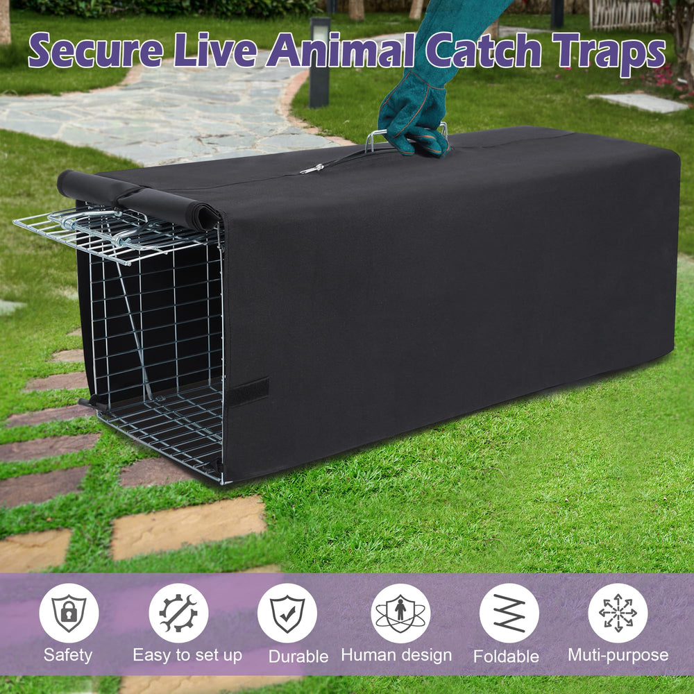 Deblue trap placed in garden setting, showing practical field use and placement