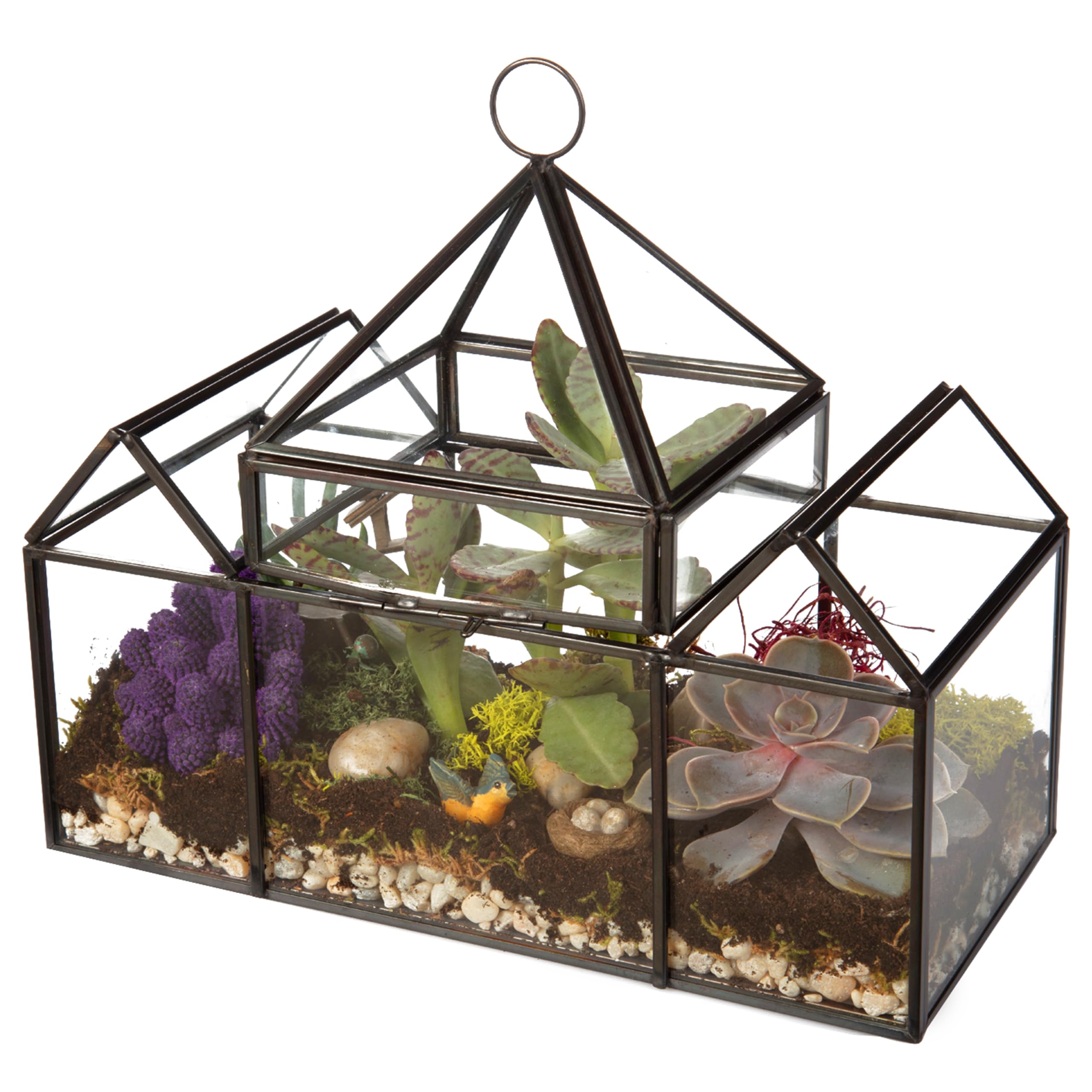 D'Eco glass castle arranged with air plants showcasing versatile styling and no-soil displays