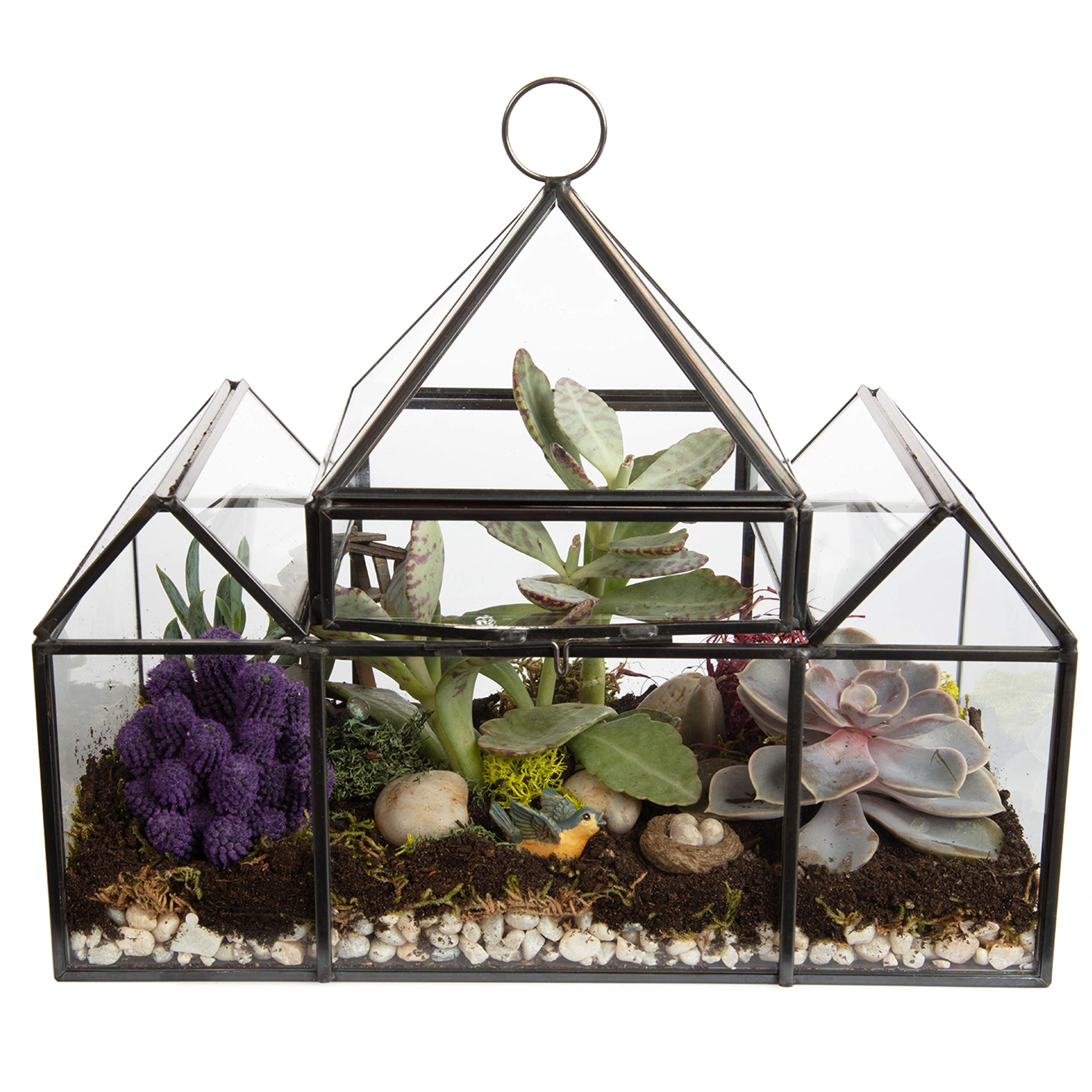 D'Eco glass castle front view showing clear display and elegant silhouette for focal decor