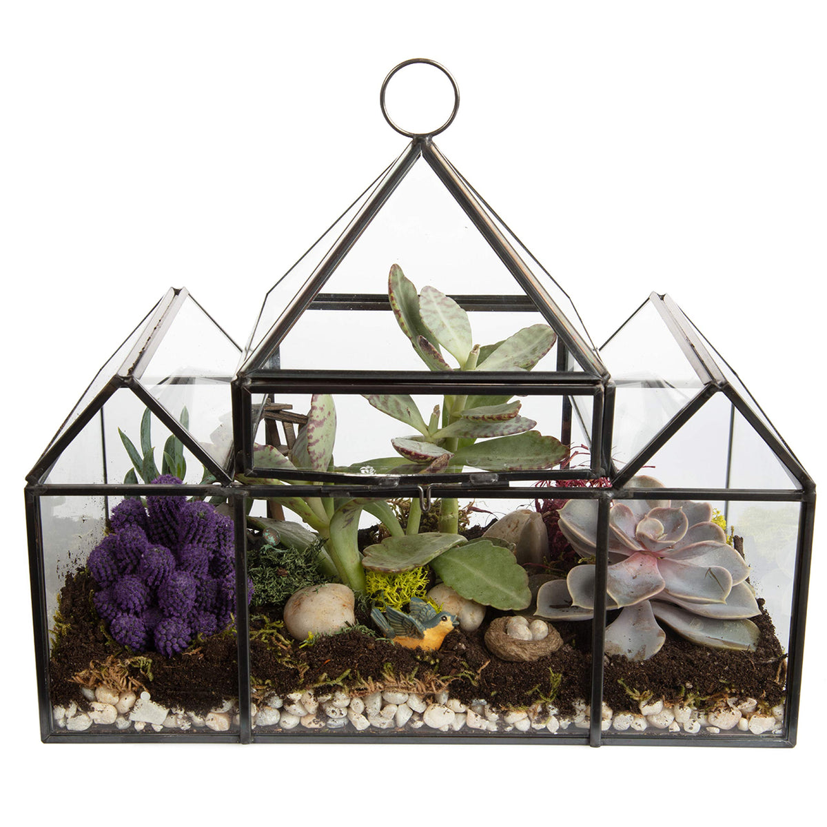 D'Eco glass castle front view showing clear display and elegant silhouette for focal decor