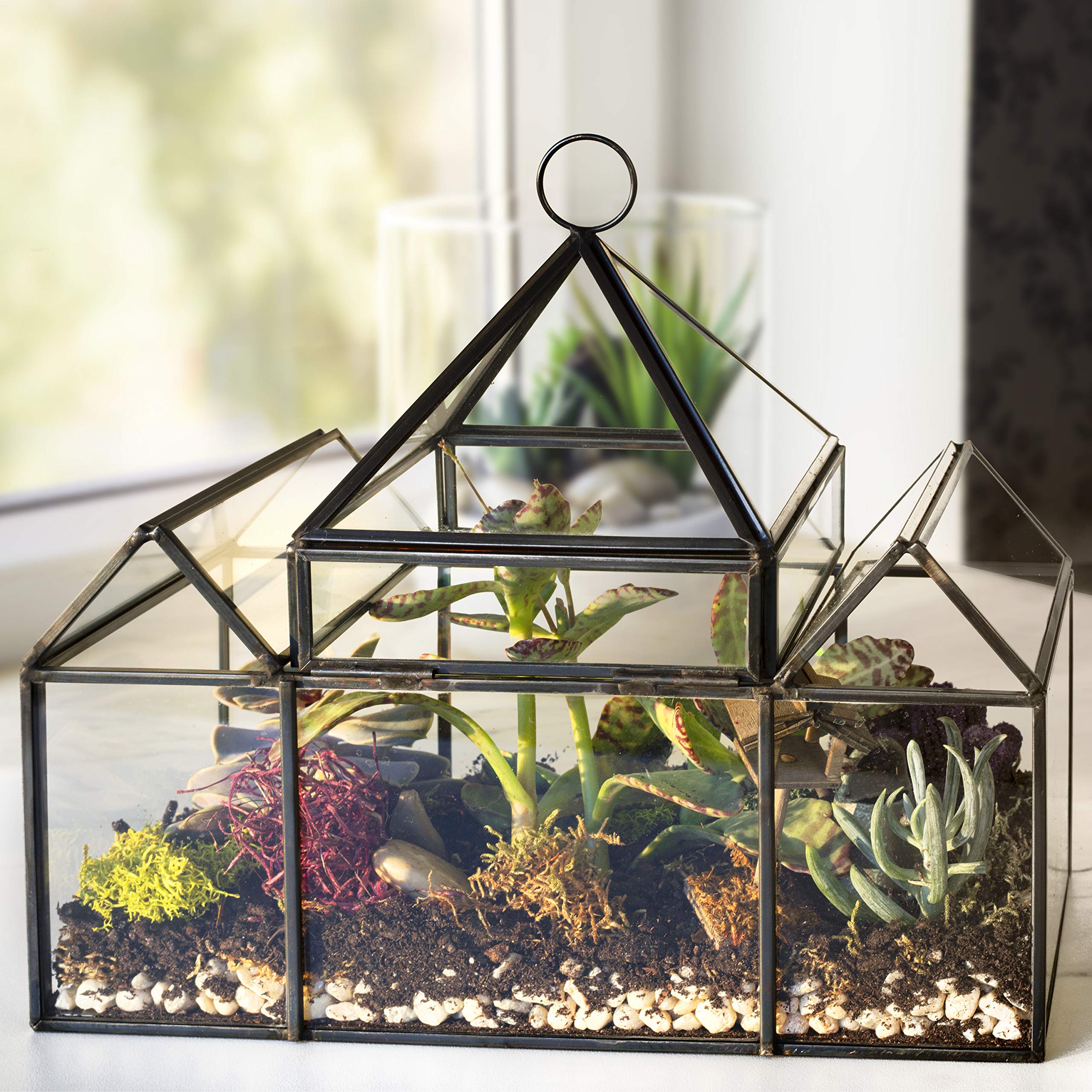 D'Eco glass castle side profile highlighting compact shape and black brass accents for modern rooms