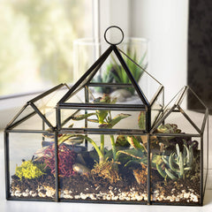 D'Eco glass castle side profile highlighting compact shape and black brass accents for modern rooms