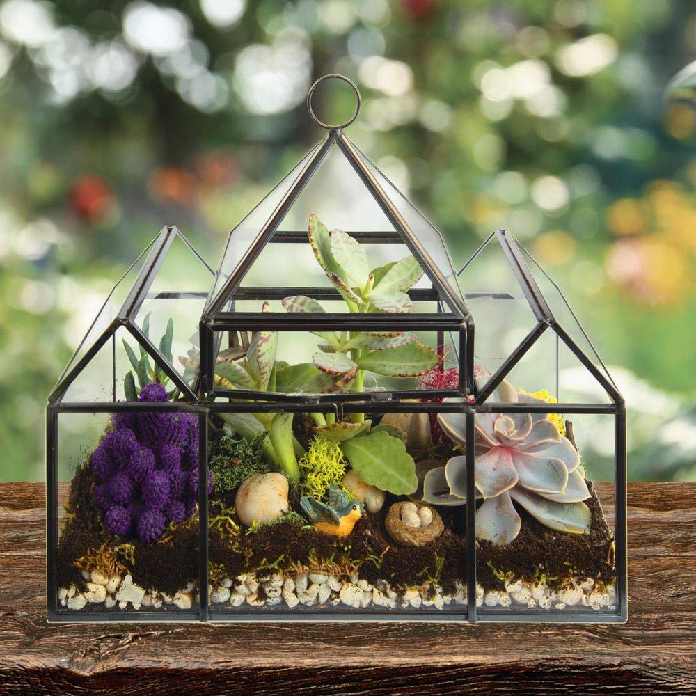 D'Eco glass castle styled with succulents offering a low-maintenance living centerpiece option