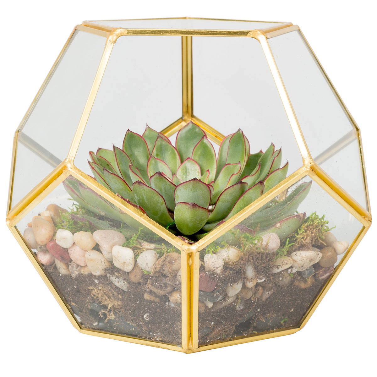 D'Eco glass gold sphere front view showing clean glass and gold accents for elegant display