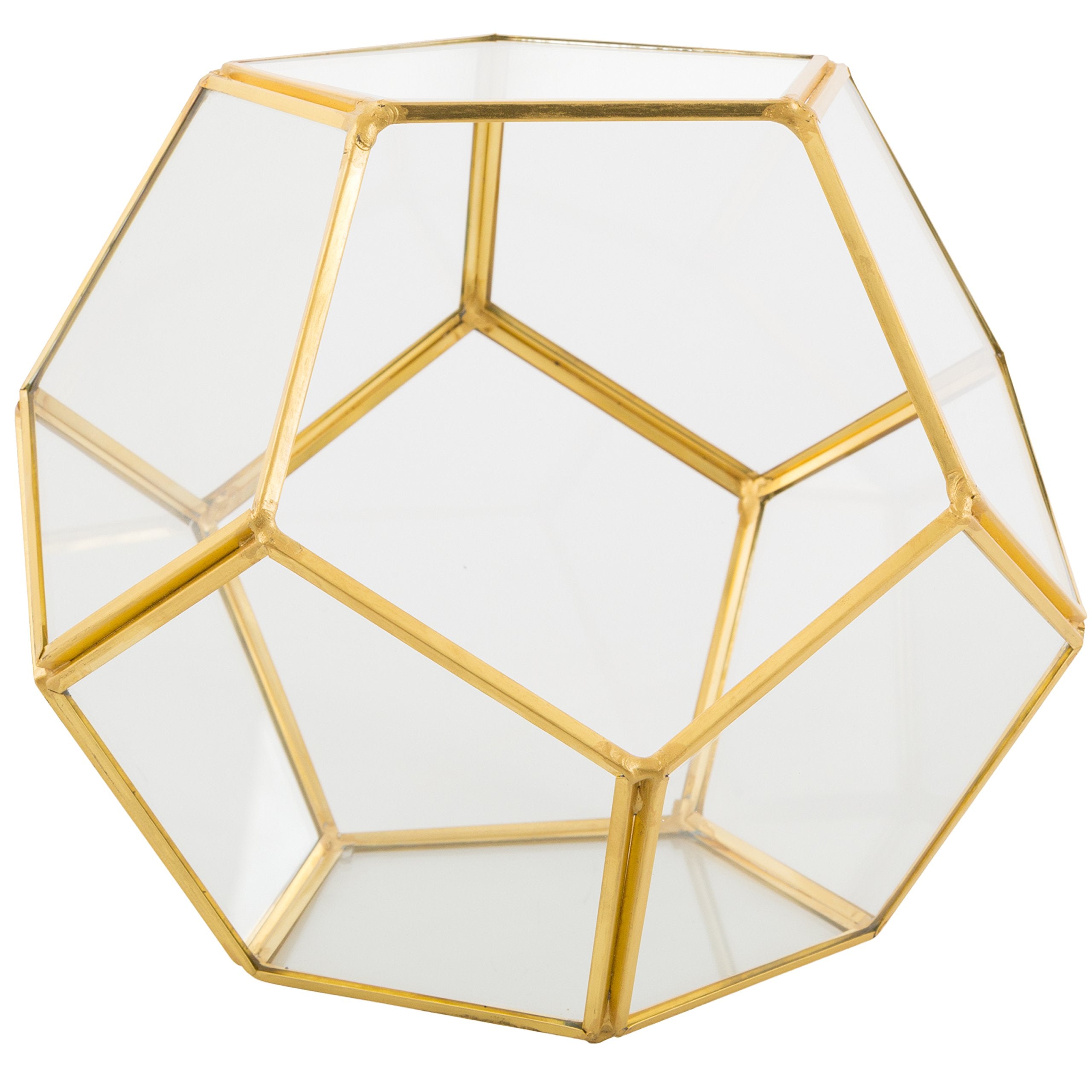 D'Eco sphere styled on coffee table with succulents offering a modern decorative focal point