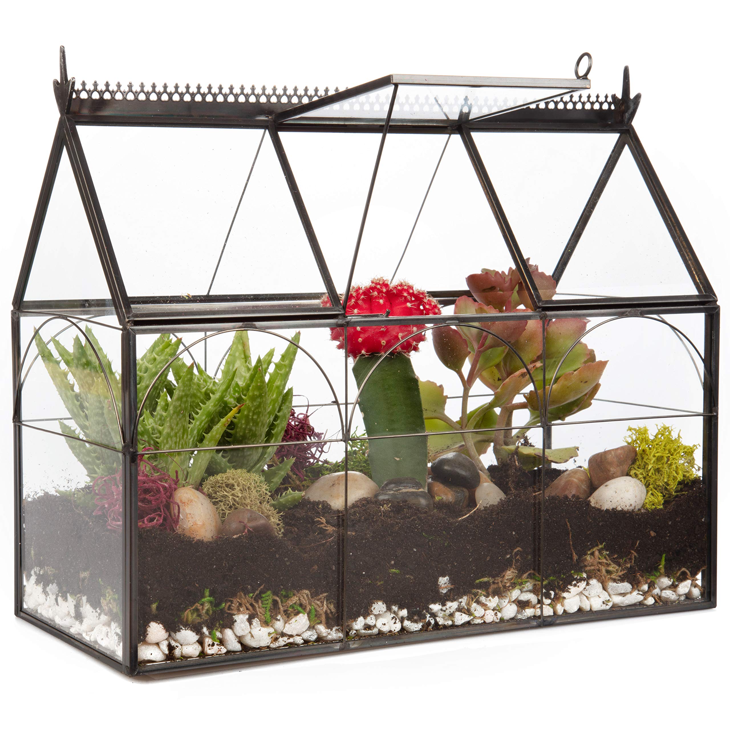 D'Eco glass greenhouse front view highlighting clean lines and display benefit