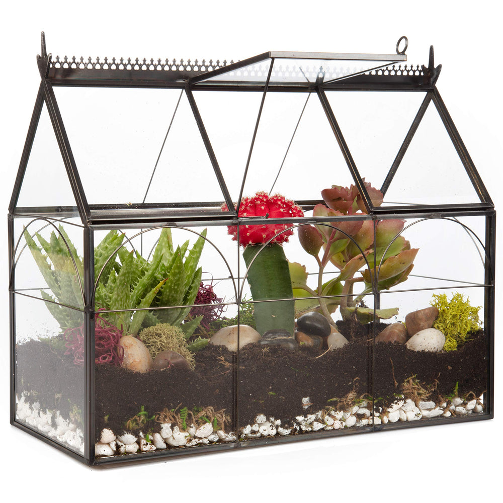 D'Eco glass greenhouse front view highlighting clean lines and display benefit