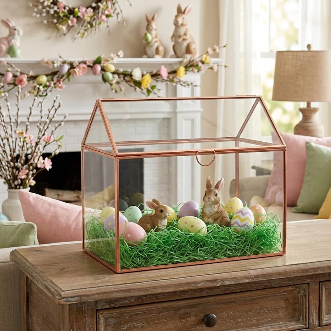D'Eco terrarium next to a hand showing 10 by 6 by 8 inch scale