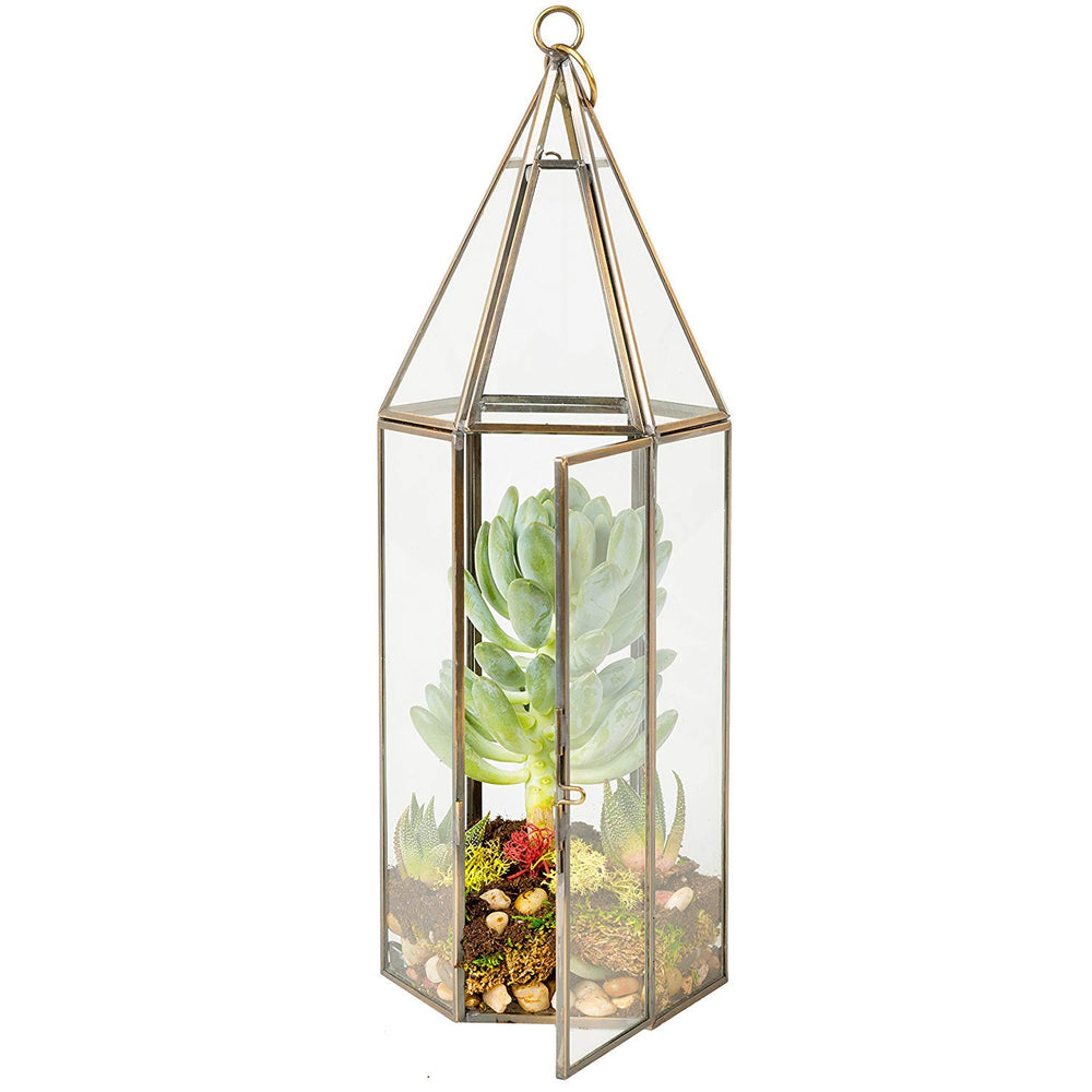 D'Eco terrarium size comparison on table showing scale and tabletop suitability