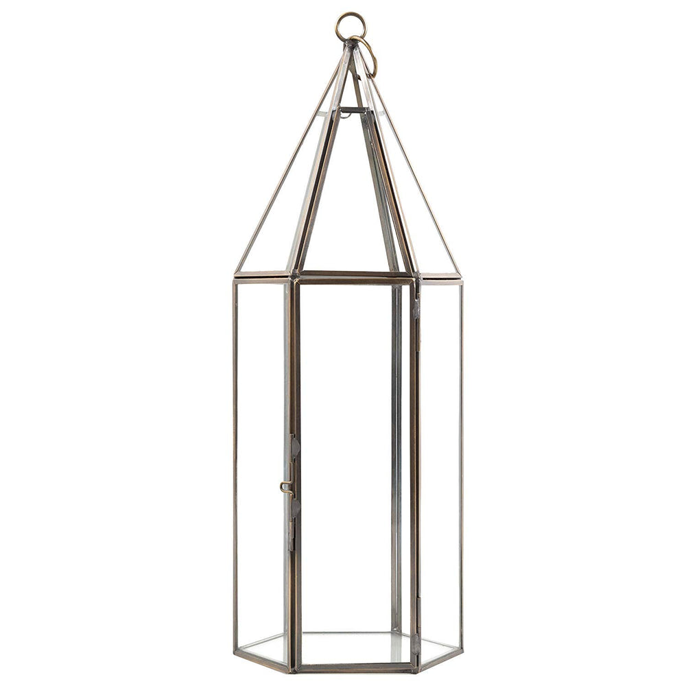 D'Eco terrarium top ventilation open showing airflow benefit for air plants