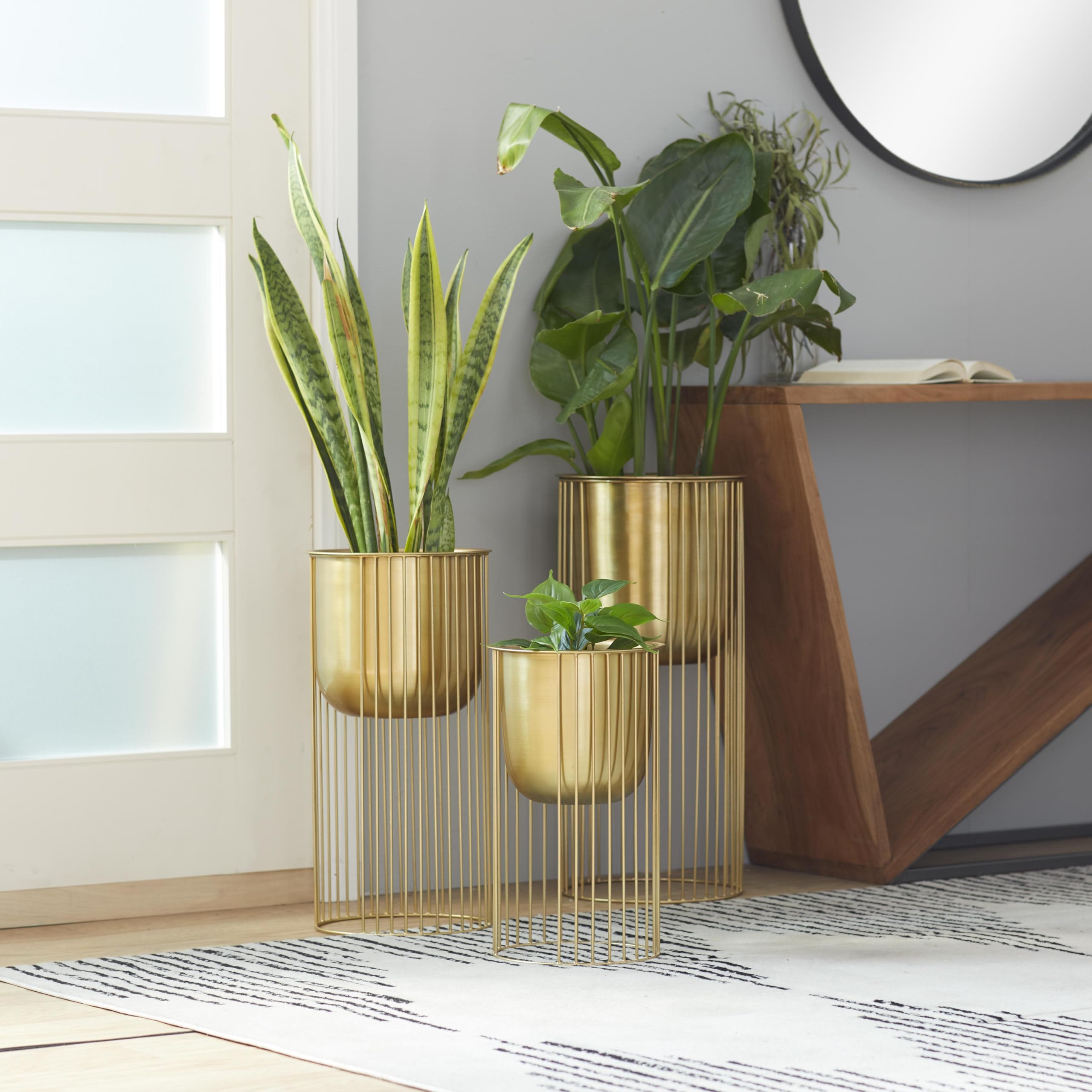 deco 79 planted in-use with green foliage showing decorative impact benefit