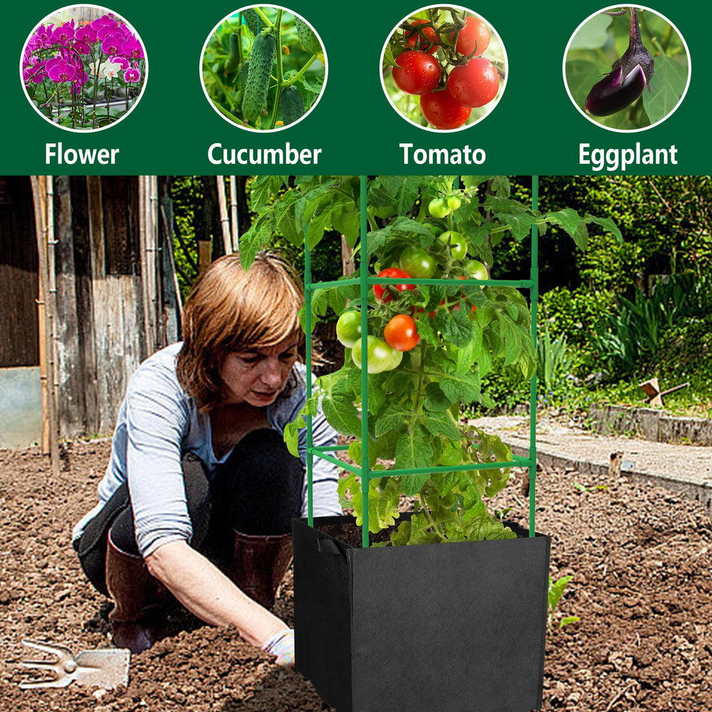 DECOHS cage supporting tomato plant for easier harvesting